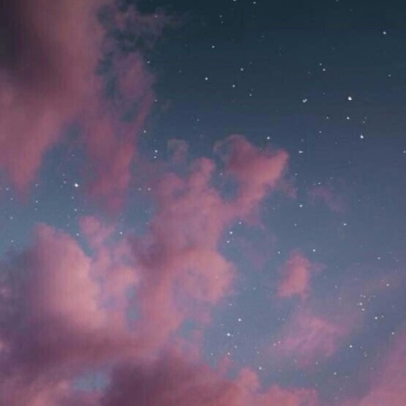 Meet your Posher, Kylee - Picture 1 of 1